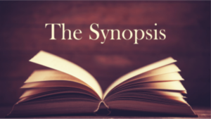 The Synopsis Blog Header Graphic 300x169