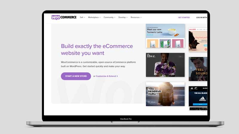 Shopify Alternative Woocommerce