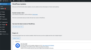 Wordpress Updates 300x165